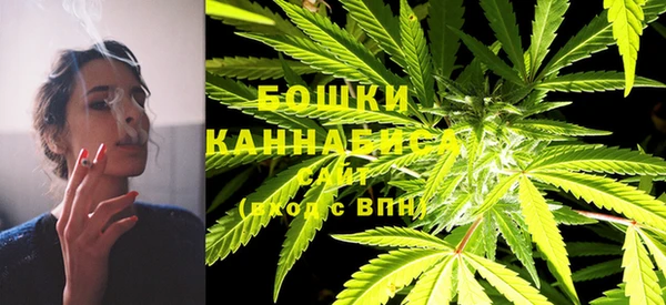 прущие крисы Арсеньев
