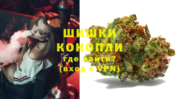 прущие крисы Арсеньев