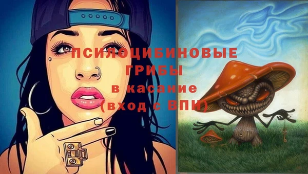 прущие крисы Арсеньев